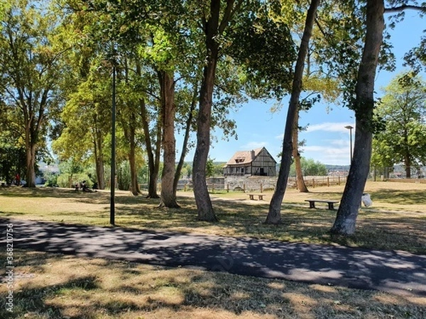 Obraz trees in the park