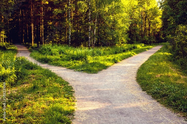 Obraz Divergence of directions. The wide path in the park is divided into two trails.