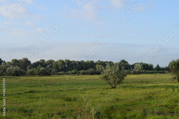 Fototapeta Trees, fields, grass, river collection