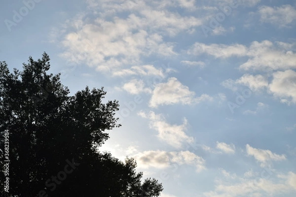 Obraz Trees, fields, grass, river collection