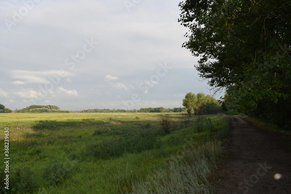 Obraz Trees, fields, grass, river collection