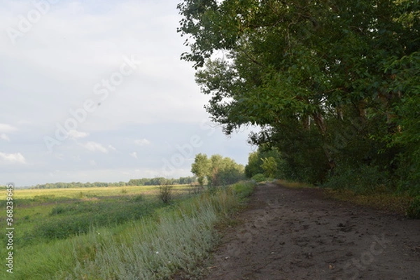 Obraz Trees, fields, grass, river collection