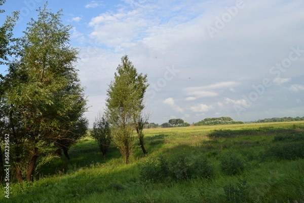 Obraz Trees, fields, grass, river collection