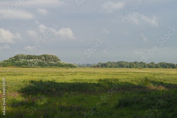 Obraz Trees, fields, grass, river collection