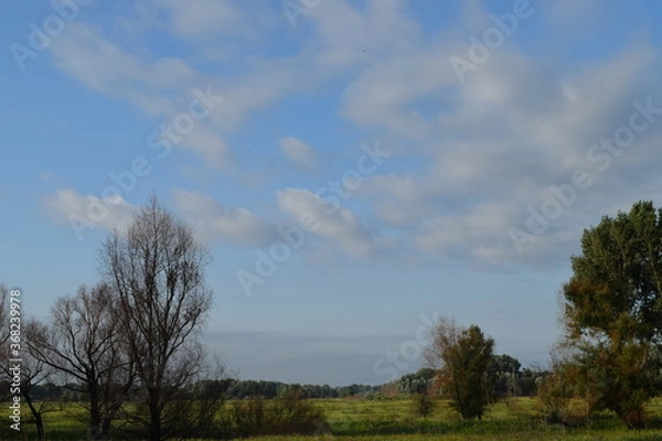 Obraz Trees, fields, grass, river collection