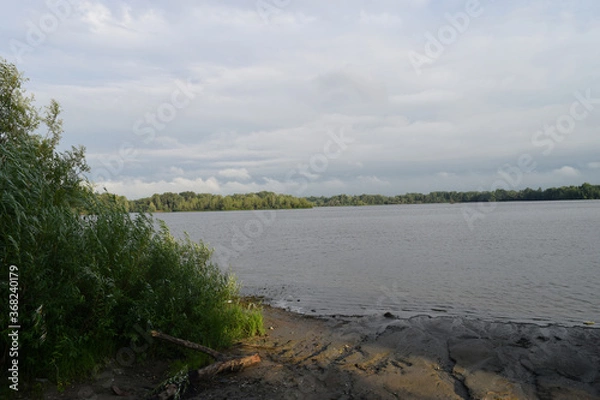 Obraz Trees, fields, grass, river collection