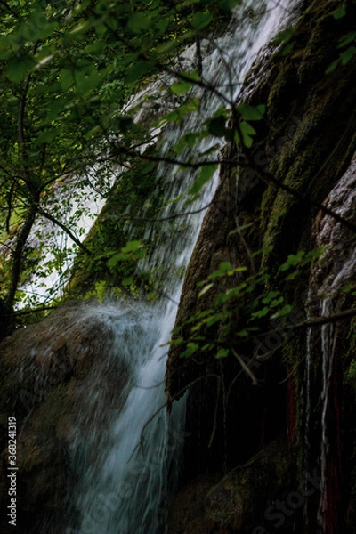 Obraz waterfall in the forest