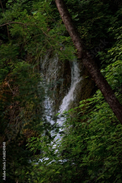 Obraz waterfall in the forest