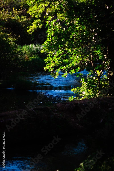 Obraz river in the forest