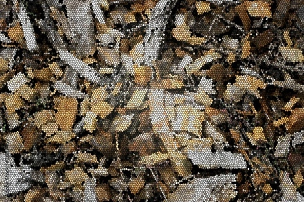 Obraz Textured paterns great for a wallpaper or background