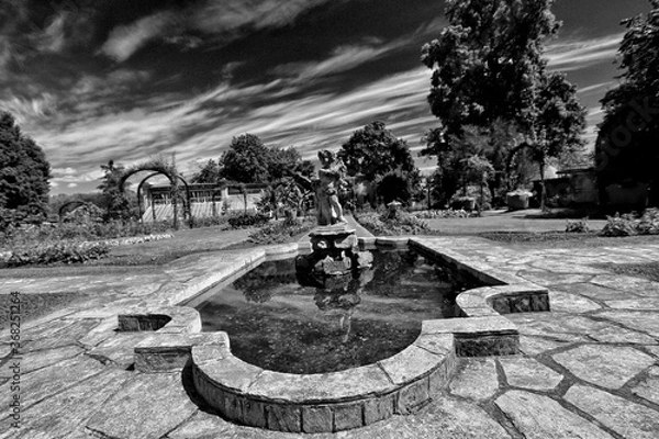 Fototapeta Garden view