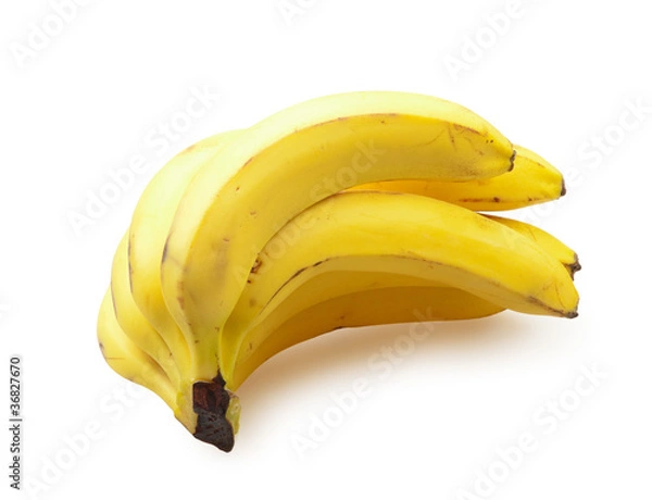 Obraz Bananas isolated