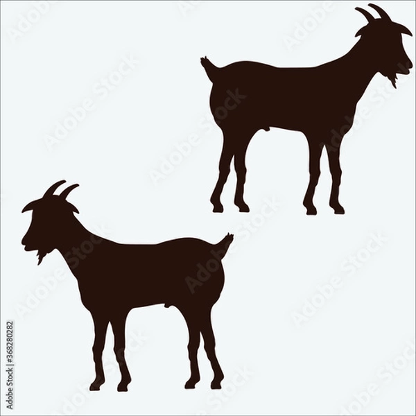 Fototapeta Eid al Adha goat  vector 