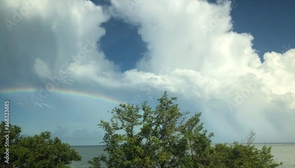 Obraz clouds over the forest