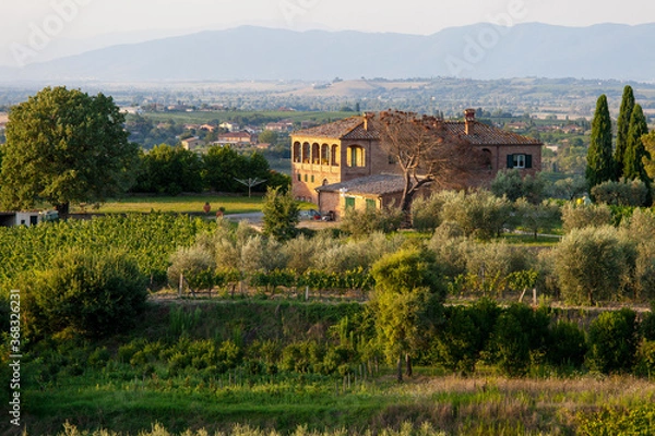 Obraz Tuscany, Italy - Landscape