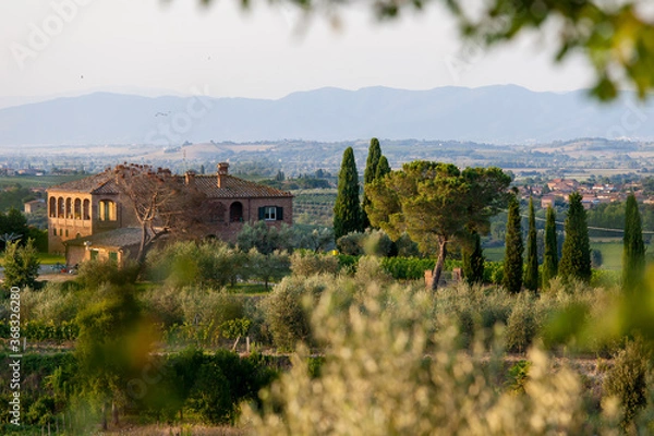 Obraz Tuscany, Italy - Landscape
