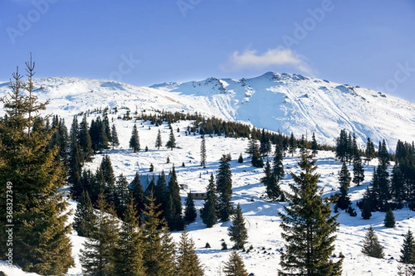 Obraz Winter Landscape