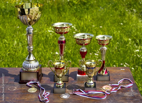 Obraz Sporting awards standing on the table
