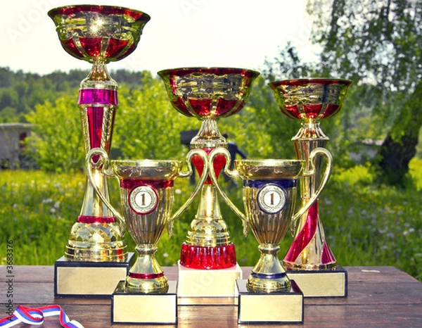 Obraz Sporting awards standing on the table