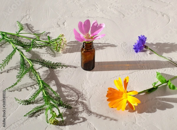 Fototapeta Aromatherapy brown bottle and flowers on white textured background as naturpathy concept