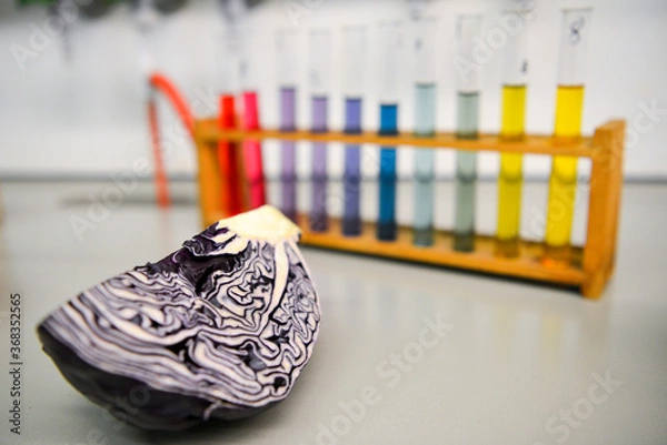 Obraz Laborversuch in einer Schule