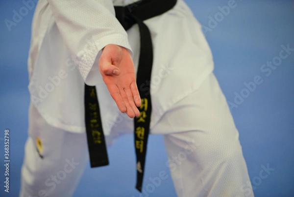 Obraz Teakwondo-Kämpfer beim Training