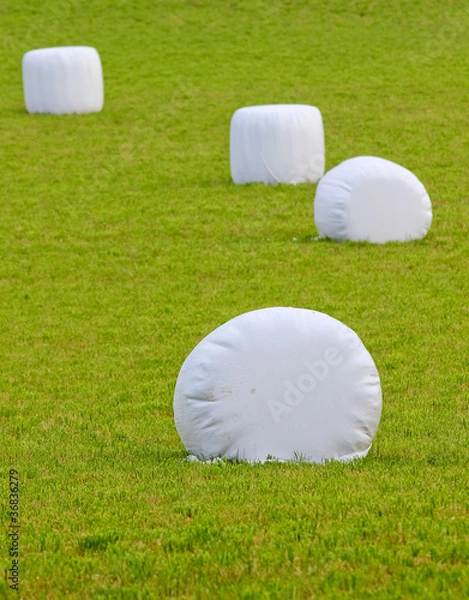 Obraz straw bales wrapped in plastic
