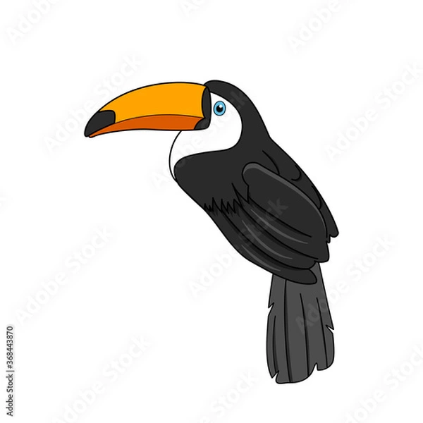 Obraz Toco toucan bird vector design, tropical bird.