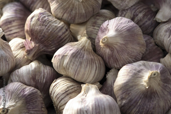 Fototapeta Garlic at an outdoor market in Paris France