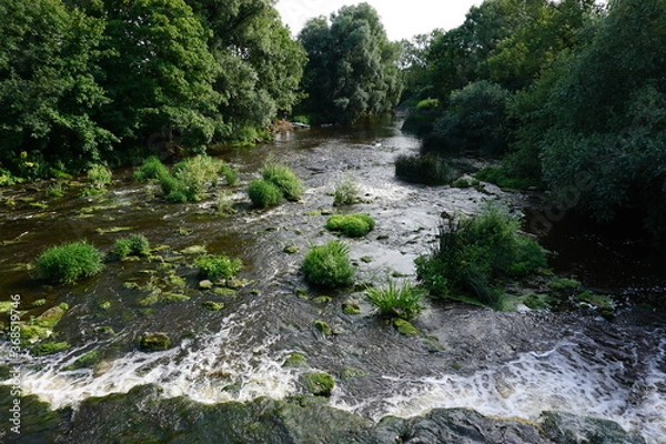 Fototapeta stream in the forest 