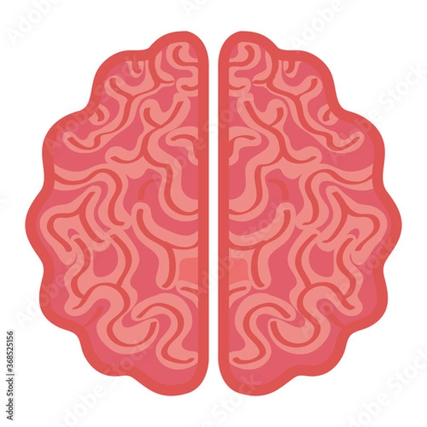 Fototapeta neurology, brain human on white background vector illustration design