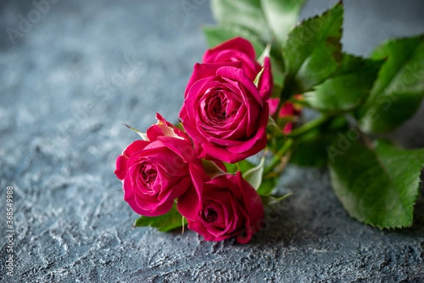 Fototapeta バラの花