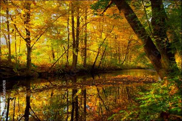 Obraz Harmony of fall colors In New England