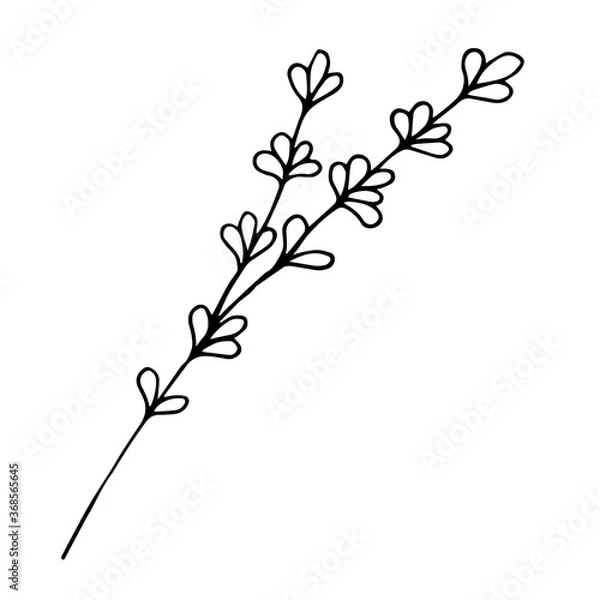 Obraz Sketch branch of leaves by hand on an isolated background. Hand drawn branches with leaves and flowers isolated on a white background.