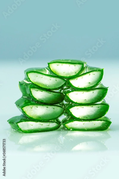 Fototapeta Slice fresh green aloe vera