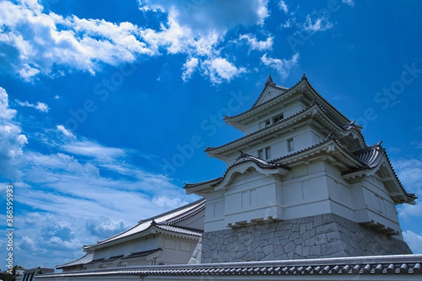 Fototapeta 千葉県立　関宿城　野田市　日本の城