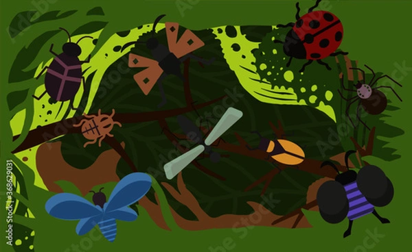 Obraz INSECT concept card