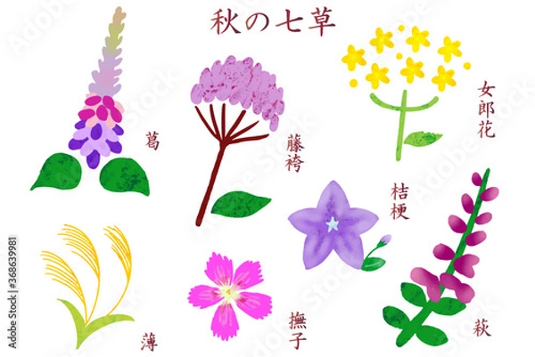 Fototapeta 名前入りの秋の七草アイコン
