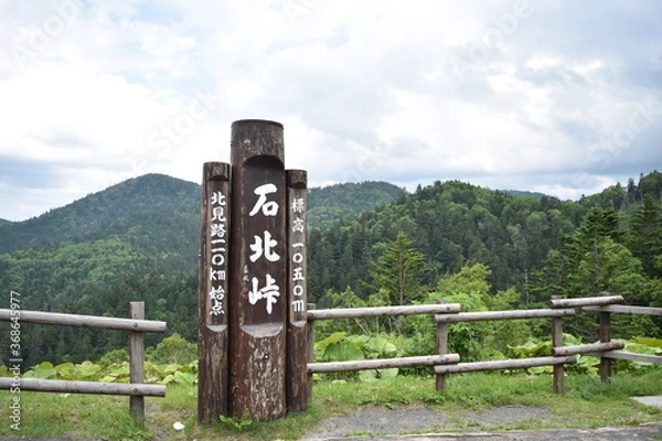 Fototapeta 石北峠