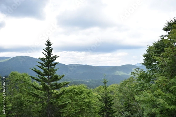 Fototapeta 石北峠