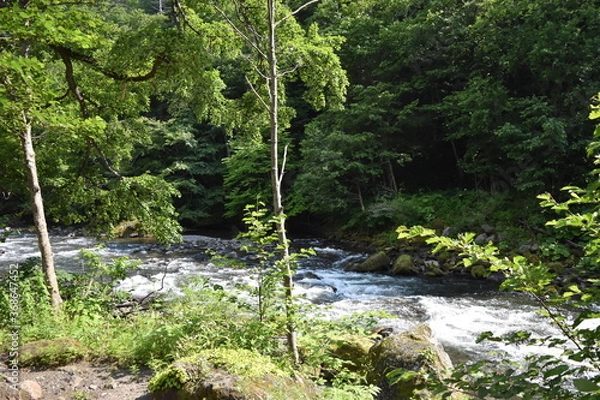 Fototapeta 銀河の滝