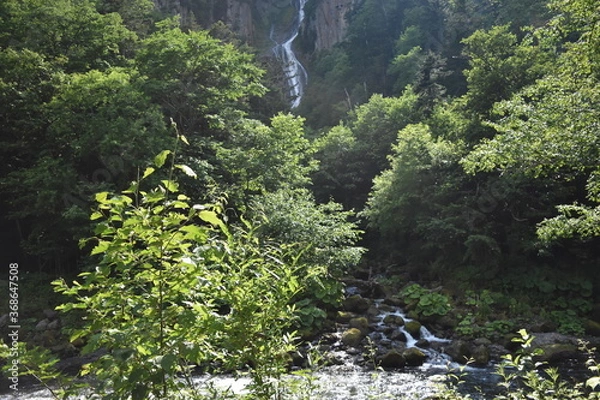Fototapeta 銀河の滝