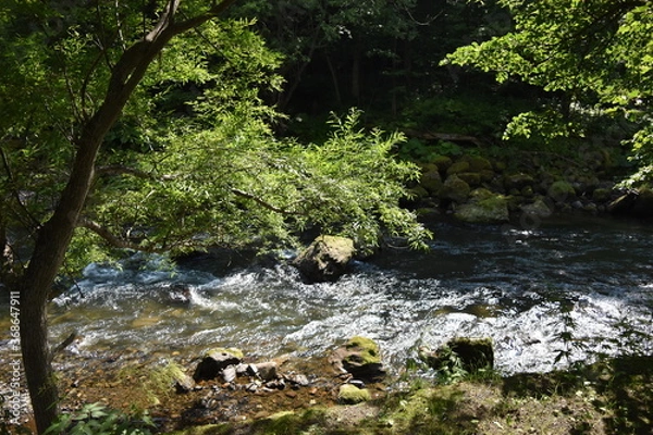 Fototapeta 銀河の滝