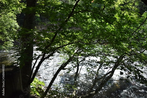 Fototapeta 銀河の滝