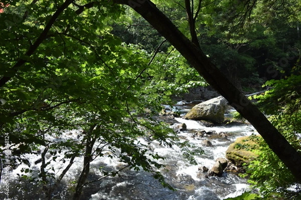 Fototapeta 銀河の滝