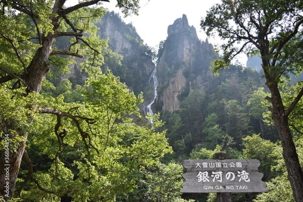 Fototapeta 銀河の滝