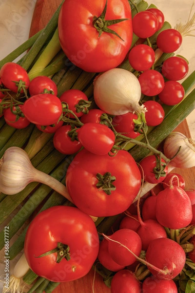 Obraz fresh vegetables on the table