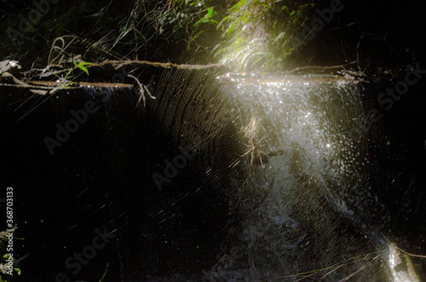 Fototapeta THIS A RIVER IN AMAPORÃ PARANÁ BRAZIL