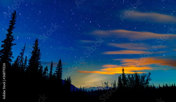 Obraz Blue Night Sky Stars And Milky Way With Towering Pine Trees