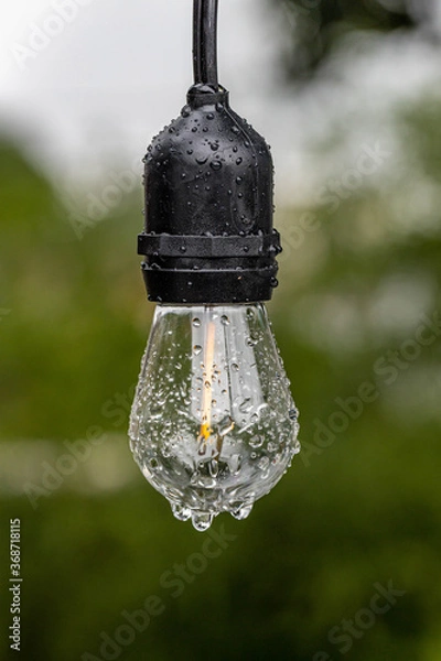 Fototapeta lightbulb